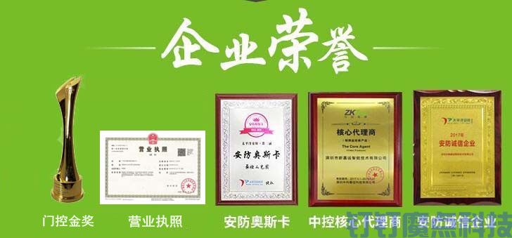 企業(yè)榮譽(yù)(圖1)