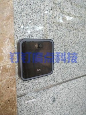 魔點釘釘d2動態(tài)人臉考勤門禁機(圖8)